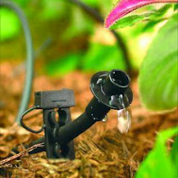 Denver drip irrigation system installed by our techs